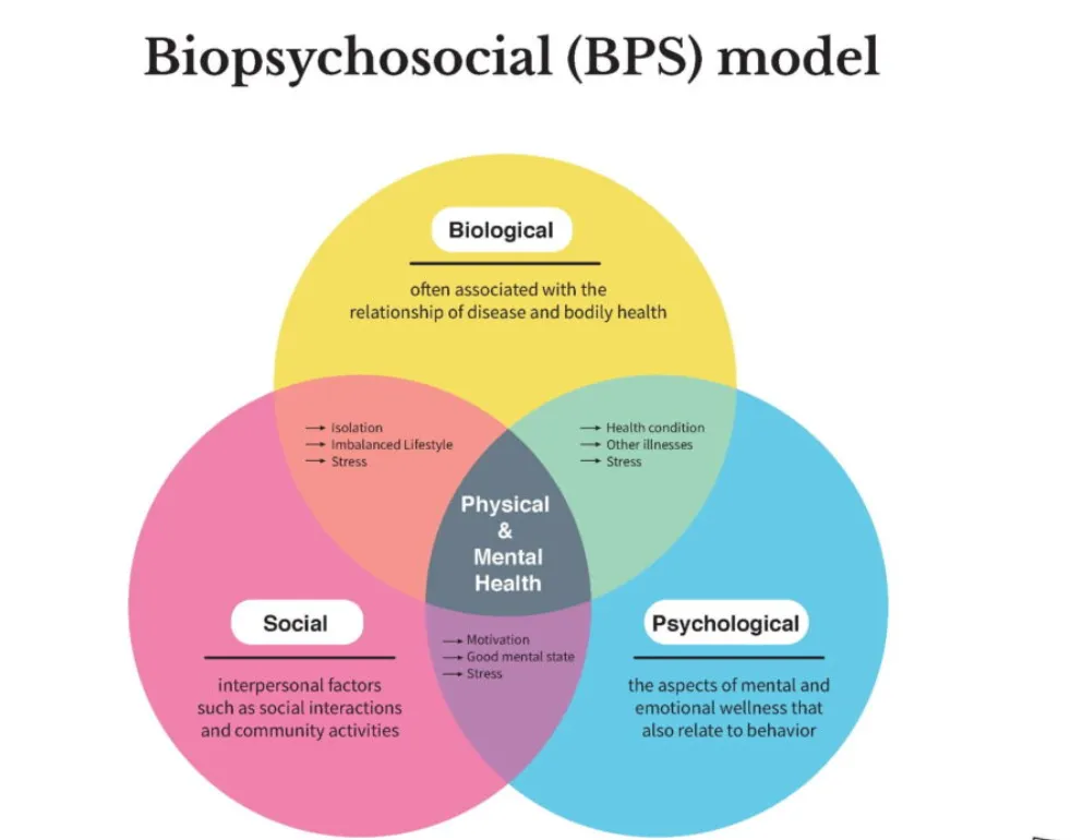 Venn diagram of biological, psychological and social factors in the workplace rehabilitation model